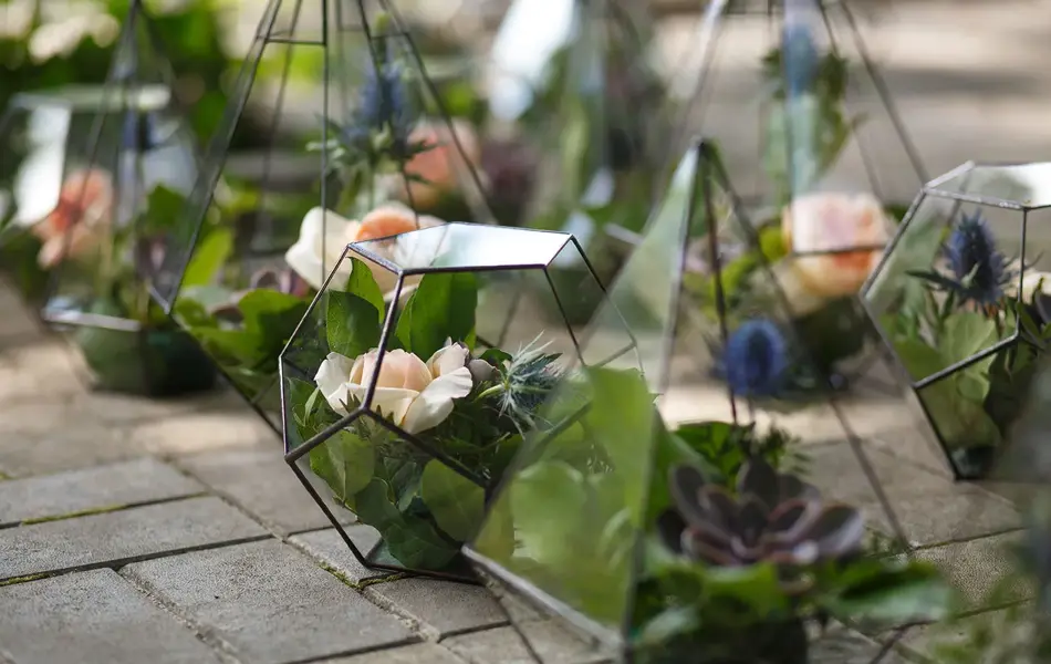 Grønne planter og blomster i gjennomsiktige glassvaser