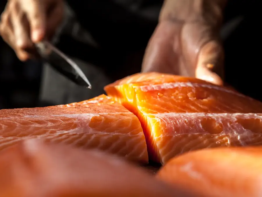 The big salmon is in the hands of the experienced Japanese chef.
He is using a knife to slice salmon fillet for sashimi and sushi.