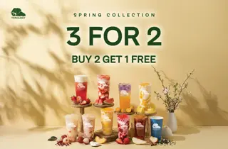 Teaology_3for2 springcollection_32
