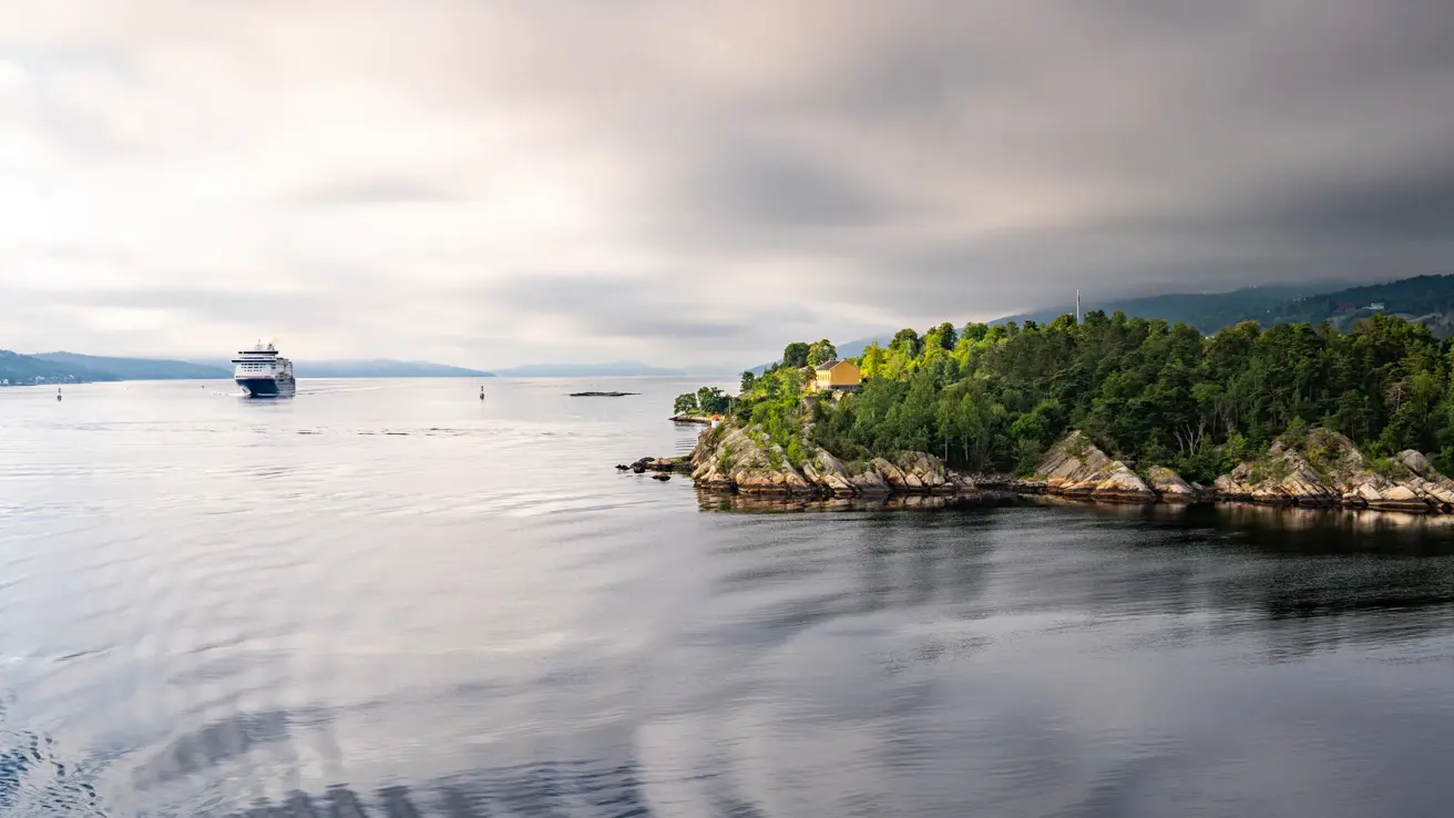 Beautiful summer morning in the Norwegian fjord