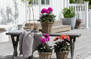 Tilbudsbilde for senter 92