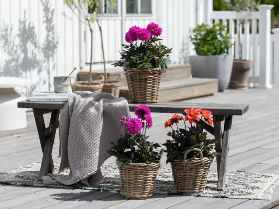 Tilbudsbilde for senter 92