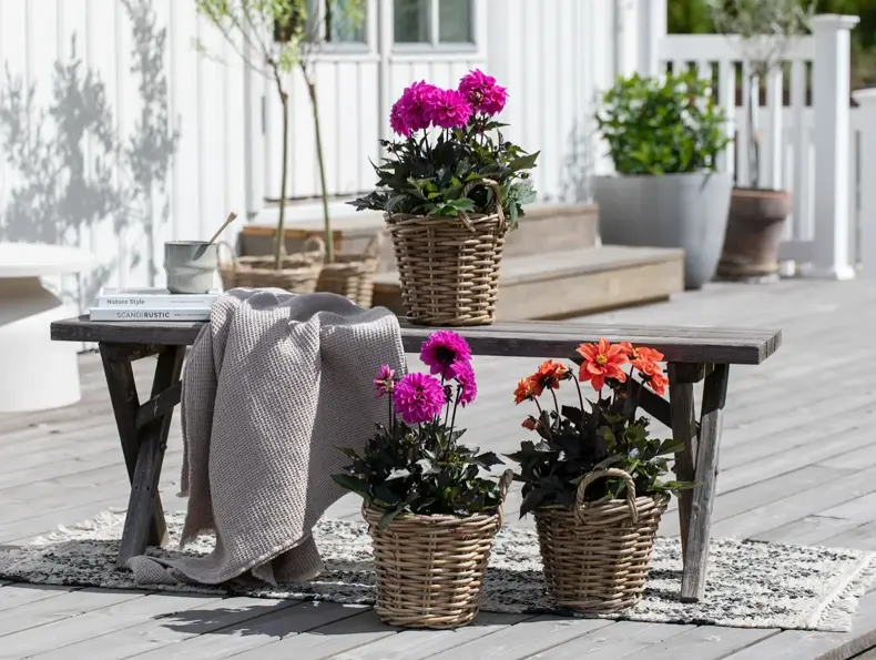 Tilbudsbilde for senter 92