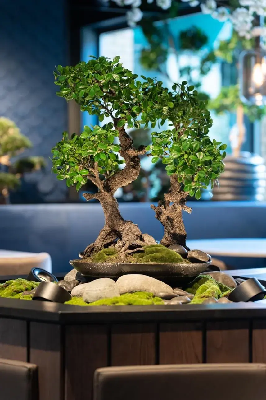 Bambus sushi restaurant 