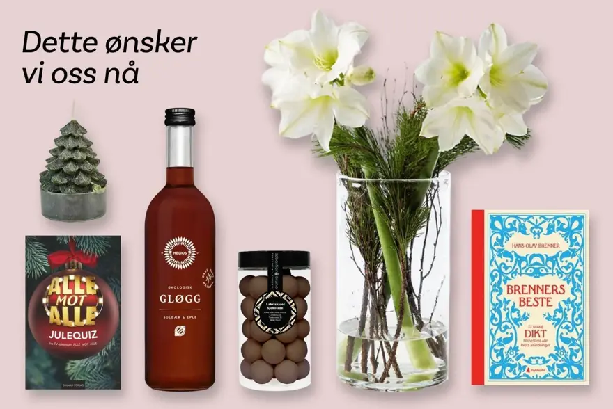 TS_Storo_artikkel_DØVN