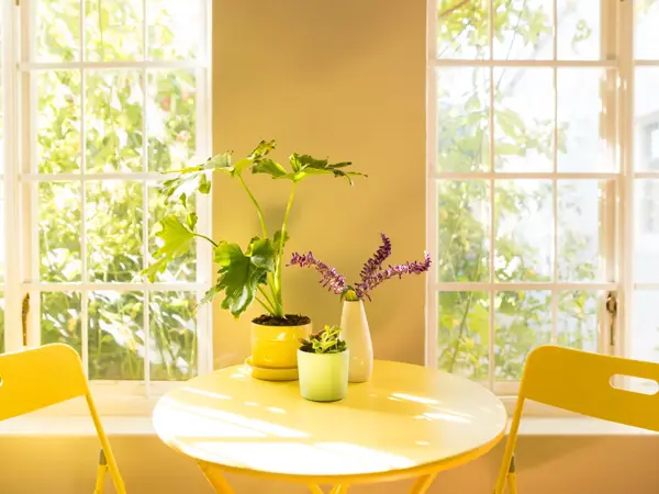 Gult bord med blomster og gule stoler foran solfylt vindu 