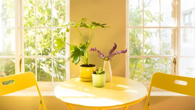 Gult bord med blomster og gule stoler foran solfylt vindu 