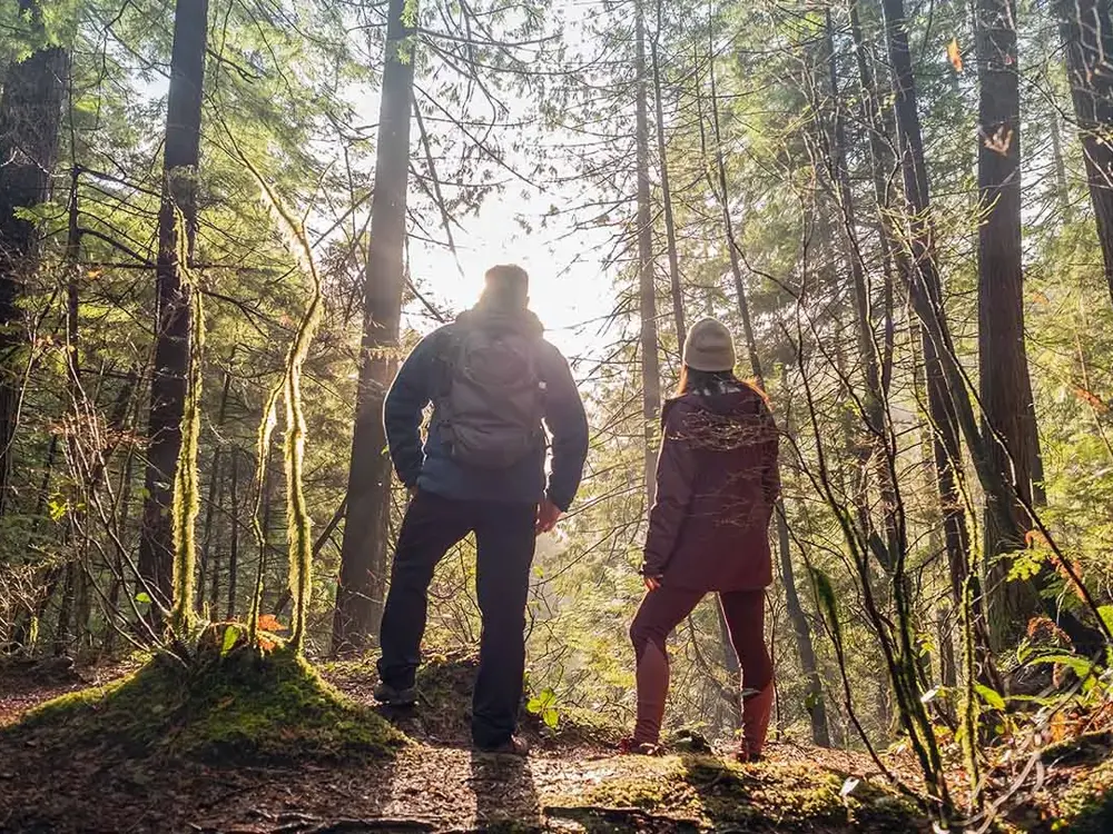 Mann og jente står med ryggen mot kamera og ser mot solnedgang i kjølig høstlys i skogen. Foto til artikkel om opplevelsesgaver til farsdag.