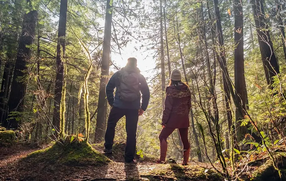 Mann og jente står med ryggen mot kamera og ser mot solnedgang i kjølig høstlys i skogen. Foto til artikkel om opplevelsesgaver til farsdag.