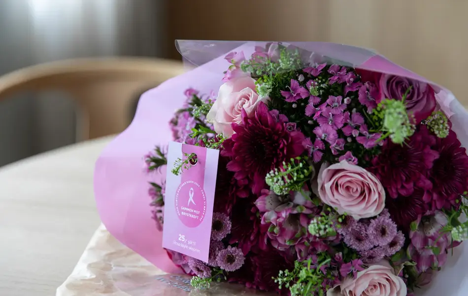 Rosa sløyfe produkter fra Mester Grønn