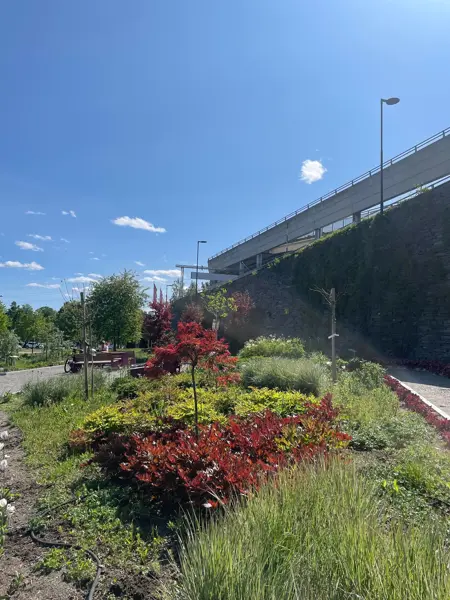 Ski Storsenter sin hage