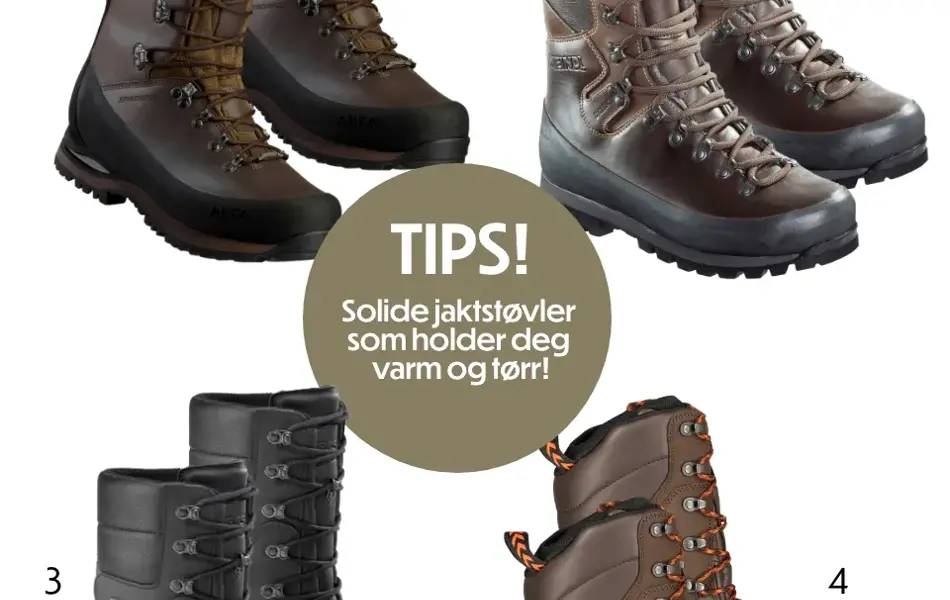 Tips til jaktsesongen