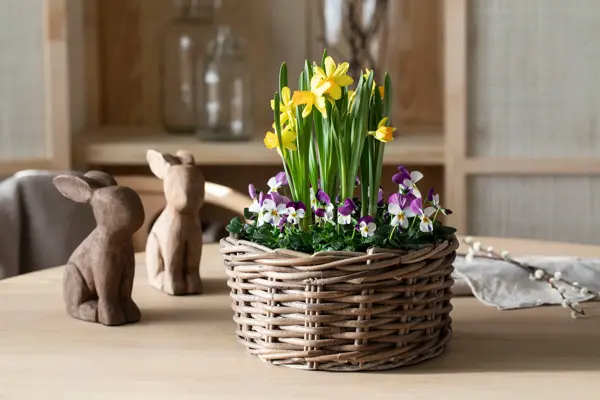 Mester Grønn påskeblomster