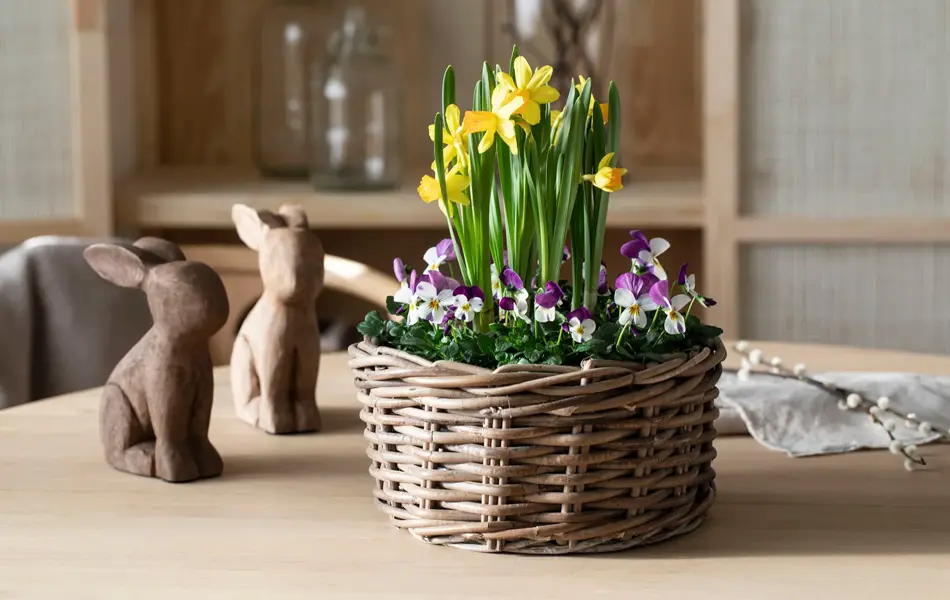 Mester Grønn påskeblomster