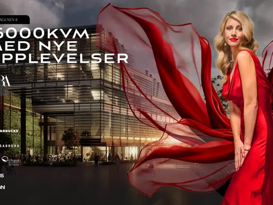 Grand Opening blogg
