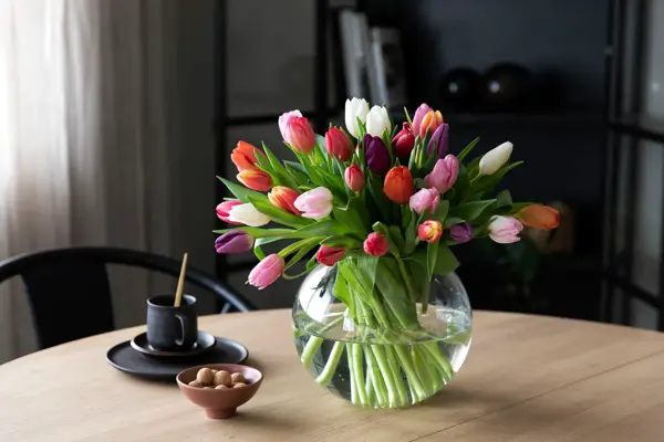 Vase med tulipaner på et spisebord