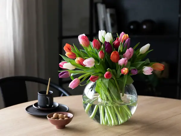 Vase med tulipaner på et spisebord