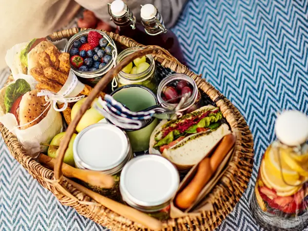 Shot of food at a picnic setting
