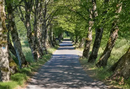 Områdebilde fra Vestby og omegn