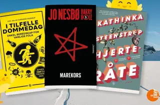 ark-pocket-uke10-4.3