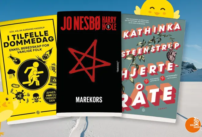 ark-pocket-uke10-4.3