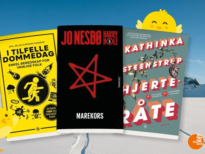 ark-pocket-uke10-4.3