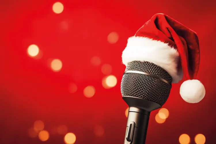 Mikrofon med nisselue