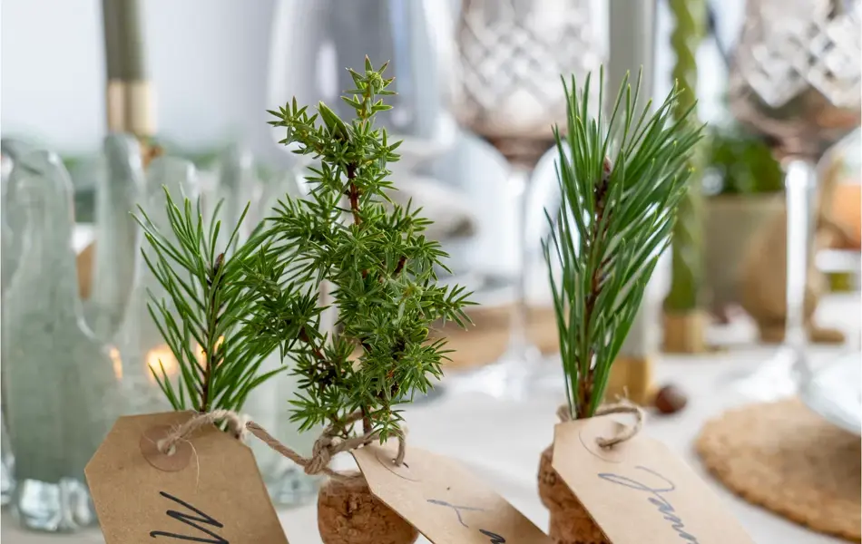 Et naturlig festbord_Artikkelbilder_08.jpg