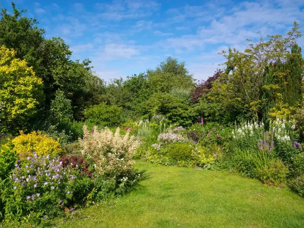 Busker og blomster i hage 