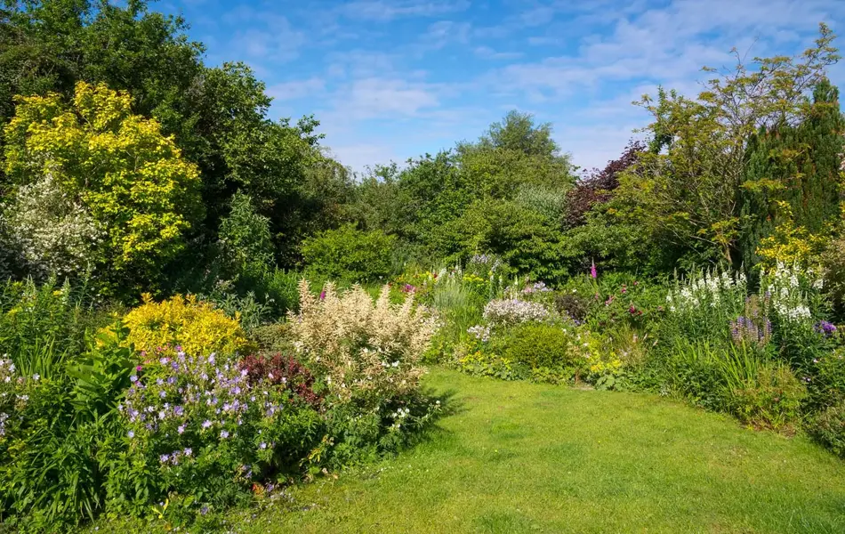 Busker og blomster i hage 