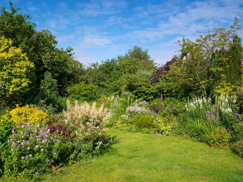 Busker og blomster i hage 