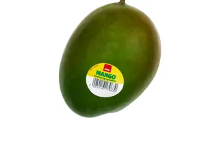 mega-mango-uke21-4.3