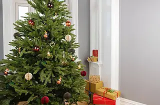 jernia-juletaer-uke49-3.2