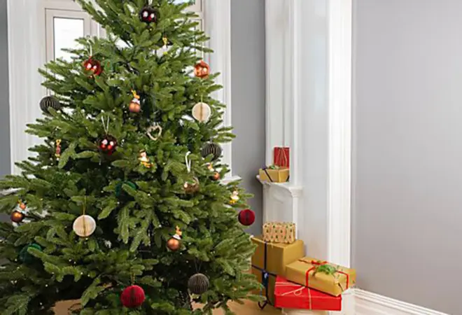 jernia-juletaer-uke49-3.2