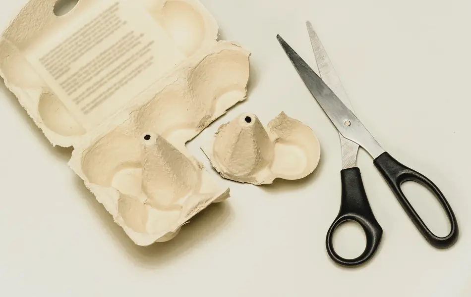 En tom eggekartong som er klippet i, og en sort saks