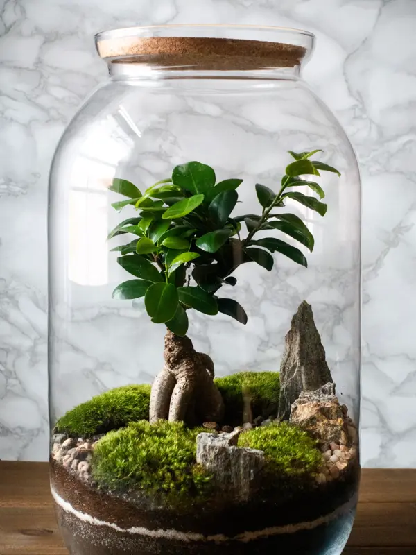 Terrarium jar with piece of forest with self ecosystem. Save the earth concept