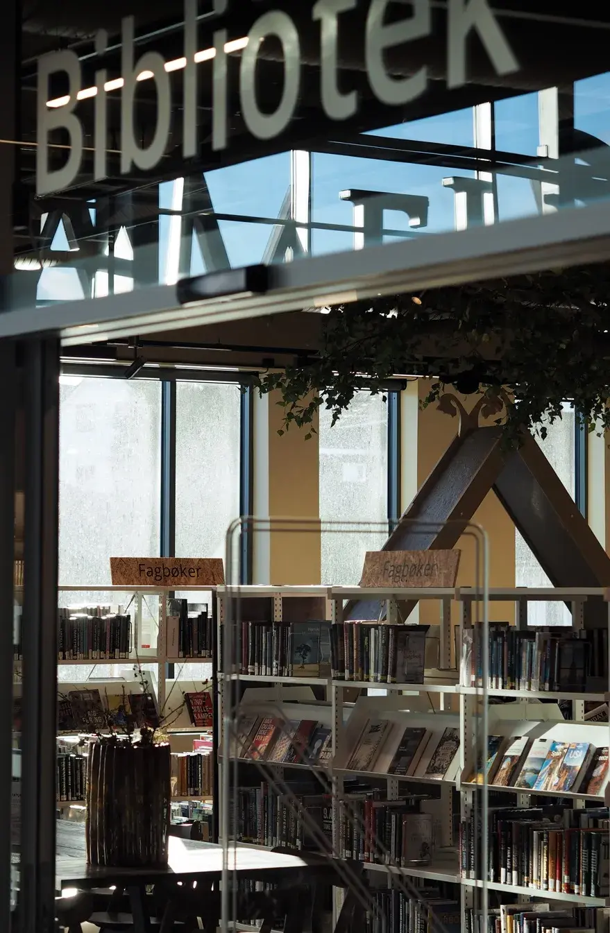 SoMe_poster_4_5_amfi16 t.jpg