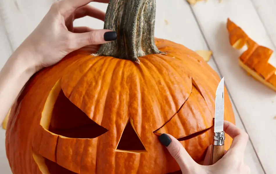 Woman carving big orange pumpkin into jack-o-lantern for Halloween holiday decoration on white wooden planks, close up view