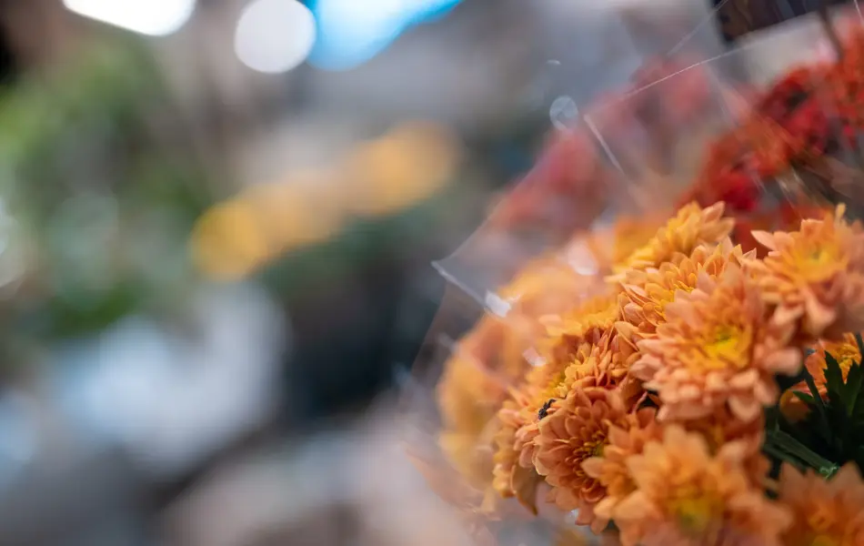 blomsterbukett med oransje og dyprøde blomster