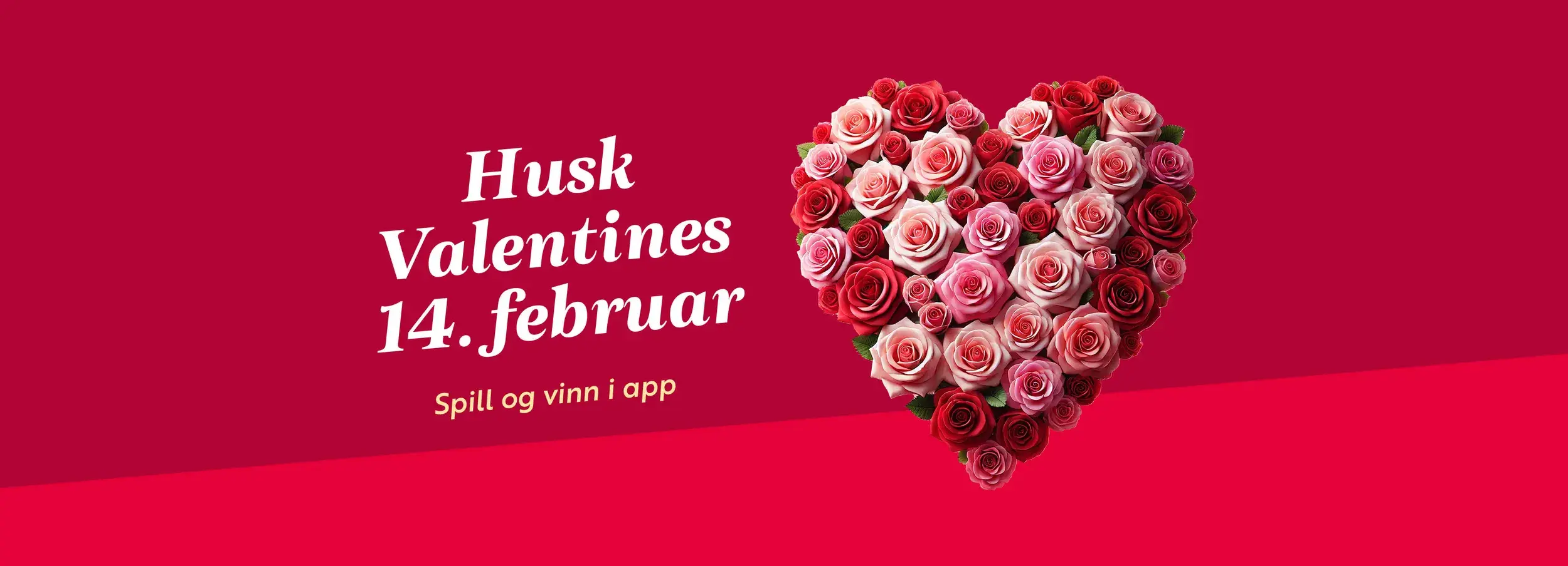 SOR_Valentines26_Hjemmeside_topp_1920x694px