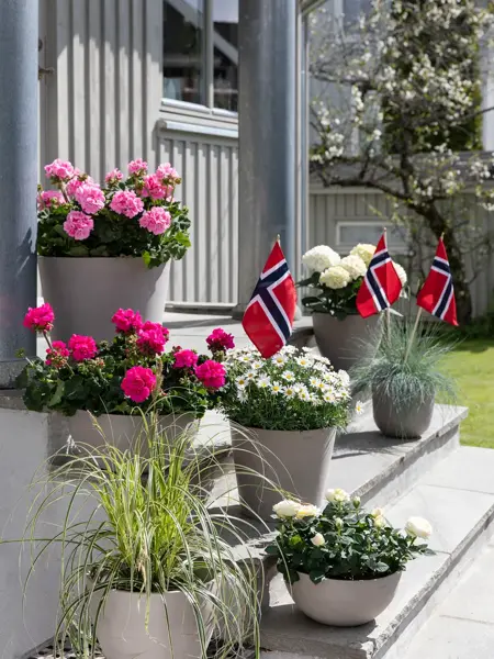 Blomster fra Mester Grønn