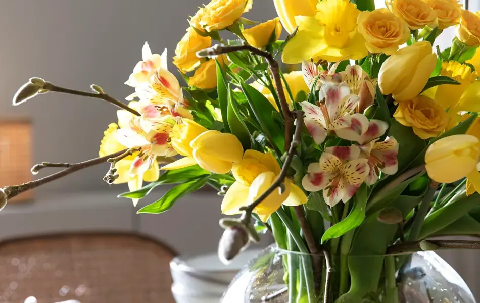 Mester Grønn påskeblomster