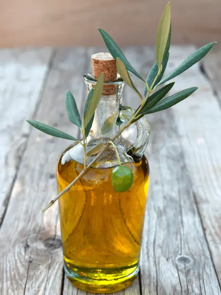 Olive oil in bottle and olive branch.