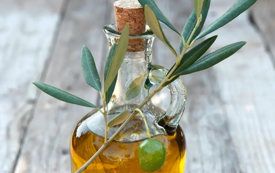 Olive oil in bottle and olive branch.
