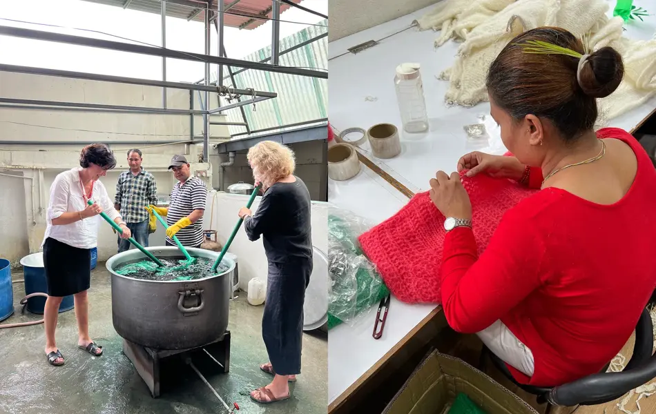 Ny og Ne damene farger garn