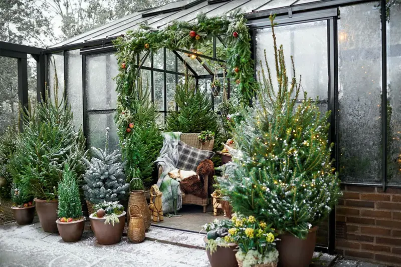 Dekorert drivhus med grønne trær