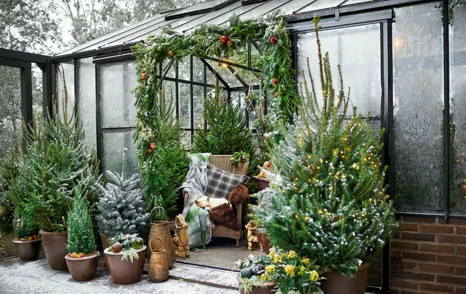 Dekorert drivhus med grønne trær