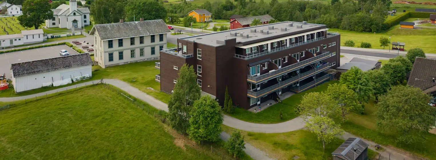 Flå
