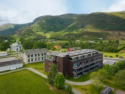 Flå