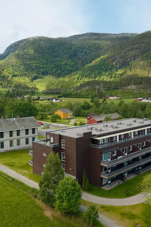Flå